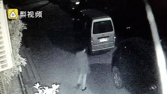 打打屁股的视频,揭秘背后故事与争议